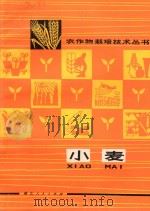 小麦 1976 PDF电子版封面 16106·336 襄阳地区革命委员会农业局编