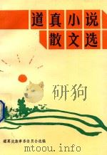 道真小说散文选（ PDF版）