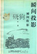瞬间投影   1990  PDF电子版封面  7206009530  马增奇著 