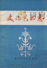 文化艺术志（ PDF版）