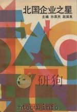 北国企业之星 1991 PDF电子版封面 720601061X 孙英民,赵国良主编