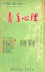 青年心理 1984 PDF电子版封面 (日本)藤永保,三宅和夫,山下荣一,依田明,空井键三,伊泽秀