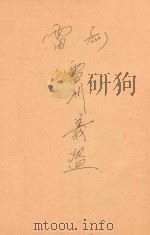 雷州义盗  雷剧（ PDF版）