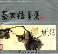 秦天柱画集 1989 PDF电子版封面 7541003786 秦天柱绘