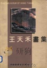 王天禾画集 1992 PDF电子版封面 750610542X 王天禾绘
