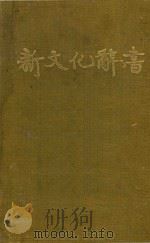 新文化辞书 1924 PDF电子版封面 唐敬杲编