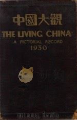 中国大观图画年鉴 1930 1930 PDF电子版封面 伍联德,梁得所,明耀五,陈炳洪编辑