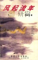 风起流年 1998 PDF电子版封面 7221034419 张林华著