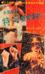 中国最新特大要案始末 1993 PDF电子版封面 7805286914 潘炳岩,荀红著