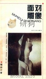 面对雕像 1995 PDF电子版封面 7533908589 嵇亦工编