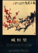 臧恒望 画家自选作品集 PDF电子版封面 753301068X 臧恒望编