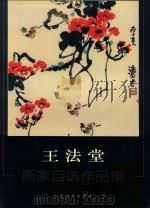 王法堂  画家自选作品集（ PDF版）