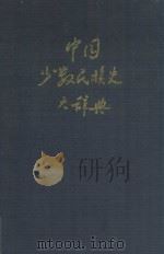 中国少数民族史大辞典 1995 PDF电子版封面 753832805X 高文德