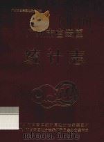 广州市白云区统计志 1996 PDF电子版封面 黄金桥主编;广州市白云区统计局地方志编纂组编