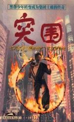 突围 1998 PDF电子版封面 7207033347 沈庆京著