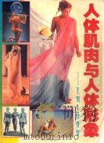 人体肌肉与人体形象 艺用人体造型 1999 PDF电子版封面 756141871X 栗民主编