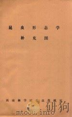 昆虫形态学补充图 1987 PDF电子版封面 西南林学院昆虫教研室编