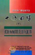 十年回眸  下（ PDF版）