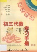 海淀新编  初三代数学习手册  下（ PDF版）