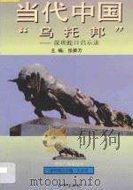 当代中国“乌托邦” 深圳蛇口启示录 1994 PDF电子版封面 7800687645 张振方主编