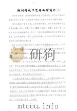 潮州传统工艺精品馆简介（ PDF版）
