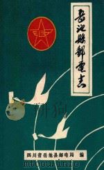 岳池县邮电志（ PDF版）
