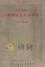 太原圹坡北齐张肃墓文物图录 1958 PDF电子版封面 802990 山西省博物馆编