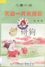 天边一片火烧云 儿童小说 1996 PDF电子版封面 7221037531 晓航编