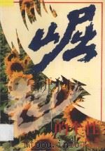 崛起的个性 1995 PDF电子版封面 7541960446 白渔著