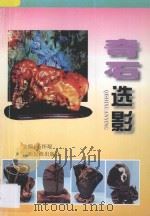 奇石选影 1997 PDF电子版封面 7536333080 韦怀琨主编