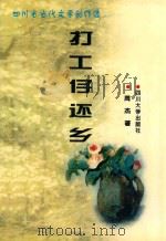 打工仔还乡 1997 PDF电子版封面 7561416482 周杰著