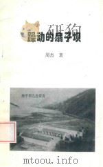 躁动的扇子坝（1999 PDF版）