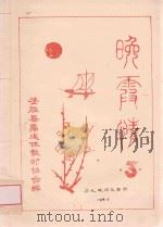 晚霞情  3（ PDF版）
