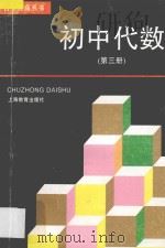 自学提高丛书 初中代数 第3册 1996 PDF电子版封面 7532038793 顾鸿达,刘渝瑛,钟建国编