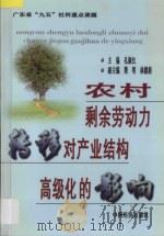 农村剩余劳动力转移对产业结构高级化的影响  广东省“九五”社科重点课题   1999  PDF电子版封面  7501744602  孔淑红主编；梁明，林健新副主编 