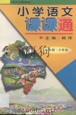 小学语文课课通 六年制六年级 1997 PDF电子版封面 7800817466 韩萍主编;李梅编著