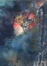 林宗书画集 1992 PDF电子版封面 林宗著