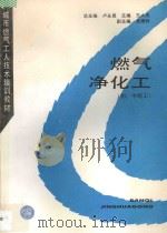 燃气净化工 初、中级工 1996 PDF电子版封面 7112027535 卢永昌总主编;王大成主编;席德粹副主编
