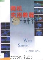 微机实用教程   1996  PDF电子版封面  7561511914  福建省教育委员会编；钱维民主编；张全伙，郭躬德，薛永生副主编 