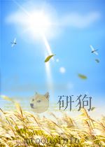 “无迹”破案方略（ PDF版）