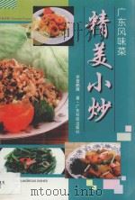 精美小炒 1998 PDF电子版封面 7535919243 李曾鹏展著