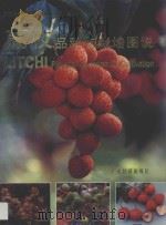 荔枝品种与栽培图说 1997 PDF电子版封面 7806322140 广东省农业科学院果树研究所编