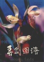 中国兰花 春剑图谱 1994 PDF电子版封面 7541009075 胡铁卿等编