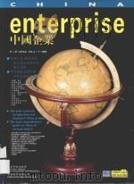 中国企业 第2册 1995 PDF电子版封面 7115054185