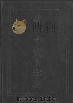 统一中文大字典 代数部首查字法 1983 PDF电子版封面 王汉星主编