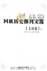 回族历史报刊文选  文化卷  上（ PDF版）