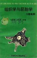 组织学与胚胎学习题集解 1995 PDF电子版封面 7810480448 金宏勋,刘玉荷主编;邹丹,张桂娥,胡群员等副主编