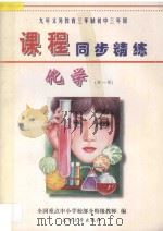 九年义务教育三年制初中三年级《课程同步精练》  化学  全1册（ PDF版）