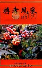 搏者风采 1997 PDF电子版封面 赵景深,碧野等著