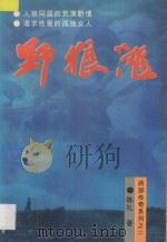 野狼滩 1995 PDF电子版封面 7225011294 陈礼著